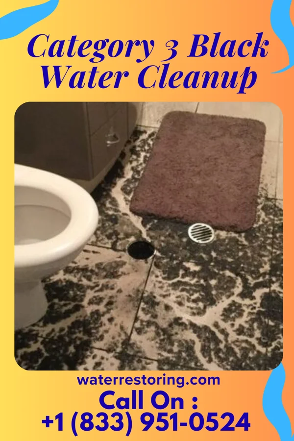 Category 3 Black Water Cleanup in Wells, TX
