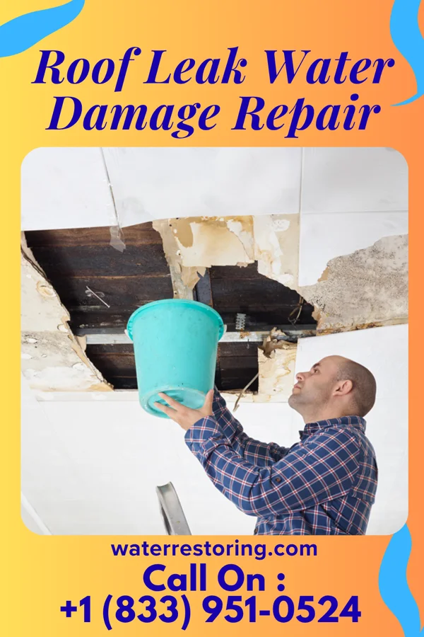 Roof Leak Water Damage Repair in Wells, TX
